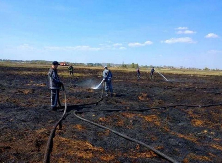 На Чернігівщині горить торфовище: триває гасіння пожежі