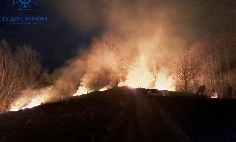 На Чернігівщині горять поля