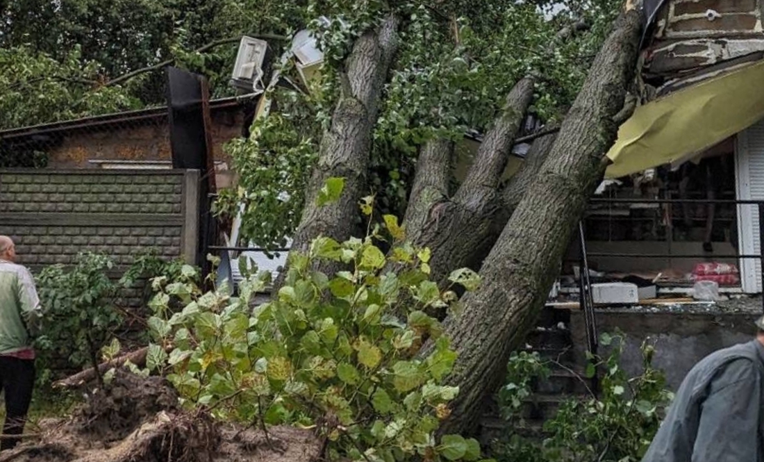 На Чернігівщині шквальний вітер залишив без світла більше 6 тисяч будинків та квартир